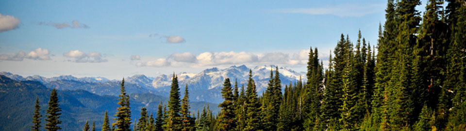 Banner of Donation site